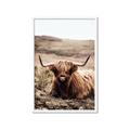 Picture of Furry Brown Cow _GroupedProduct_Rectangle_Portrait_Photography _GroupedProduct_Rectangle_Portrait_Framed_Matted_