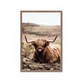 Picture of Furry Brown Cow _GroupedProduct_Rectangle_Portrait_Photography _GroupedProduct_Rectangle_Portrait_Framed_Matted_