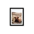 Picture of Furry Brown Cow _GroupedProduct_Rectangle_Portrait_Photography _GroupedProduct_Rectangle_Portrait_Framed_Matted_