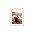 Picture of Furry Brown Cow _GroupedProduct_Rectangle_Portrait_Photography _GroupedProduct_Rectangle_Portrait_Framed_Matted_