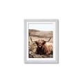 Picture of Furry Brown Cow _GroupedProduct_Rectangle_Portrait_Photography _GroupedProduct_Rectangle_Portrait_Framed_Matted_