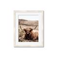 Picture of Furry Brown Cow _GroupedProduct_Rectangle_Portrait_Photography _GroupedProduct_Rectangle_Portrait_Framed_Matted_