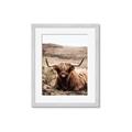 Picture of Furry Brown Cow _GroupedProduct_Rectangle_Portrait_Photography _GroupedProduct_Rectangle_Portrait_Framed_Matted_