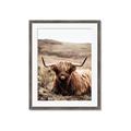 Picture of Furry Brown Cow _GroupedProduct_Rectangle_Portrait_Photography _GroupedProduct_Rectangle_Portrait_Framed_Matted_