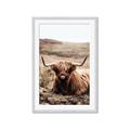 Picture of Furry Brown Cow _GroupedProduct_Rectangle_Portrait_Photography _GroupedProduct_Rectangle_Portrait_Framed_Matted_