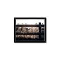 Picture of Farm Fence _GroupedProduct_Rectangle_Landscape_Photography _GroupedProduct_Rectangle_Landscape_Framed_Matted_