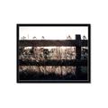 Picture of Farm Fence _GroupedProduct_Rectangle_Landscape_Photography _GroupedProduct_Rectangle_Landscape_Framed_Matted_
