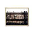 Picture of Farm Fence _GroupedProduct_Rectangle_Landscape_Photography _GroupedProduct_Rectangle_Landscape_Framed_Matted_