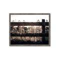 Picture of Farm Fence _GroupedProduct_Rectangle_Landscape_Photography _GroupedProduct_Rectangle_Landscape_Framed_Matted_