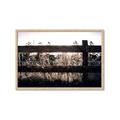 Picture of Farm Fence _GroupedProduct_Rectangle_Landscape_Photography _GroupedProduct_Rectangle_Landscape_Framed_Matted_