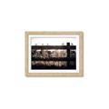Picture of Farm Fence _GroupedProduct_Rectangle_Landscape_Photography _GroupedProduct_Rectangle_Landscape_Framed_Matted_