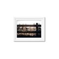 Picture of Farm Fence _GroupedProduct_Rectangle_Landscape_Photography _GroupedProduct_Rectangle_Landscape_Framed_Matted_