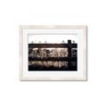 Picture of Farm Fence _GroupedProduct_Rectangle_Landscape_Photography _GroupedProduct_Rectangle_Landscape_Framed_Matted_