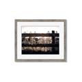Picture of Farm Fence _GroupedProduct_Rectangle_Landscape_Photography _GroupedProduct_Rectangle_Landscape_Framed_Matted_