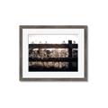 Picture of Farm Fence _GroupedProduct_Rectangle_Landscape_Photography _GroupedProduct_Rectangle_Landscape_Framed_Matted_
