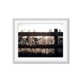 Picture of Farm Fence _GroupedProduct_Rectangle_Landscape_Photography _GroupedProduct_Rectangle_Landscape_Framed_Matted_