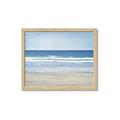 Picture of Birds on the Beach _GroupedProduct_Rectangle_Landscape_Framed_Matted_
