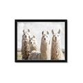 Picture of Llama Fam _GroupedProduct_Rectangle_Landscape_Photography _GroupedProduct_Rectangle_Landscape_Framed_Matted_
