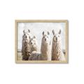 Picture of Llama Fam _GroupedProduct_Rectangle_Landscape_Photography _GroupedProduct_Rectangle_Landscape_Framed_Matted_