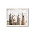 Picture of Llama Fam _GroupedProduct_Rectangle_Landscape_Photography _GroupedProduct_Rectangle_Landscape_Framed_Matted_