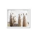 Picture of Llama Fam _GroupedProduct_Rectangle_Landscape_Photography _GroupedProduct_Rectangle_Landscape_Framed_Matted_