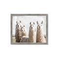 Picture of Llama Fam _GroupedProduct_Rectangle_Landscape_Photography _GroupedProduct_Rectangle_Landscape_Framed_Matted_