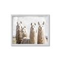 Picture of Llama Fam _GroupedProduct_Rectangle_Landscape_Photography _GroupedProduct_Rectangle_Landscape_Framed_Matted_