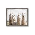 Picture of Llama Fam _GroupedProduct_Rectangle_Landscape_Photography _GroupedProduct_Rectangle_Landscape_Framed_Matted_