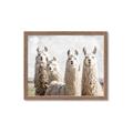 Picture of Llama Fam _GroupedProduct_Rectangle_Landscape_Photography _GroupedProduct_Rectangle_Landscape_Framed_Matted_
