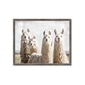 Picture of Llama Fam _GroupedProduct_Rectangle_Landscape_Photography _GroupedProduct_Rectangle_Landscape_Framed_Matted_