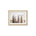 Picture of Llama Fam _GroupedProduct_Rectangle_Landscape_Photography _GroupedProduct_Rectangle_Landscape_Framed_Matted_