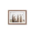 Picture of Llama Fam _GroupedProduct_Rectangle_Landscape_Photography _GroupedProduct_Rectangle_Landscape_Framed_Matted_
