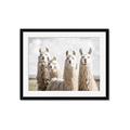 Picture of Llama Fam _GroupedProduct_Rectangle_Landscape_Photography _GroupedProduct_Rectangle_Landscape_Framed_Matted_