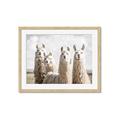 Picture of Llama Fam _GroupedProduct_Rectangle_Landscape_Photography _GroupedProduct_Rectangle_Landscape_Framed_Matted_