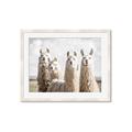 Picture of Llama Fam _GroupedProduct_Rectangle_Landscape_Photography _GroupedProduct_Rectangle_Landscape_Framed_Matted_