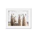 Picture of Llama Fam _GroupedProduct_Rectangle_Landscape_Photography _GroupedProduct_Rectangle_Landscape_Framed_Matted_