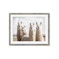 Picture of Llama Fam _GroupedProduct_Rectangle_Landscape_Photography _GroupedProduct_Rectangle_Landscape_Framed_Matted_