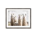 Picture of Llama Fam _GroupedProduct_Rectangle_Landscape_Photography _GroupedProduct_Rectangle_Landscape_Framed_Matted_