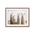Picture of Llama Fam _GroupedProduct_Rectangle_Landscape_Photography _GroupedProduct_Rectangle_Landscape_Framed_Matted_