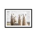Picture of Llama Fam _GroupedProduct_Rectangle_Landscape_Photography _GroupedProduct_Rectangle_Landscape_Framed_Matted_