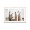 Picture of Llama Fam _GroupedProduct_Rectangle_Landscape_Photography _GroupedProduct_Rectangle_Landscape_Framed_Matted_