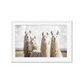 Picture of Llama Fam _GroupedProduct_Rectangle_Landscape_Photography _GroupedProduct_Rectangle_Landscape_Framed_Matted_