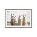 Picture of Llama Fam _GroupedProduct_Rectangle_Landscape_Photography _GroupedProduct_Rectangle_Landscape_Framed_Matted_