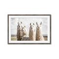 Picture of Llama Fam _GroupedProduct_Rectangle_Landscape_Photography _GroupedProduct_Rectangle_Landscape_Framed_Matted_