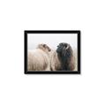 Picture of Good Talk _GroupedProduct_Rectangle_Landscape_Photography _GroupedProduct_Rectangle_Landscape_Framed_Matted_