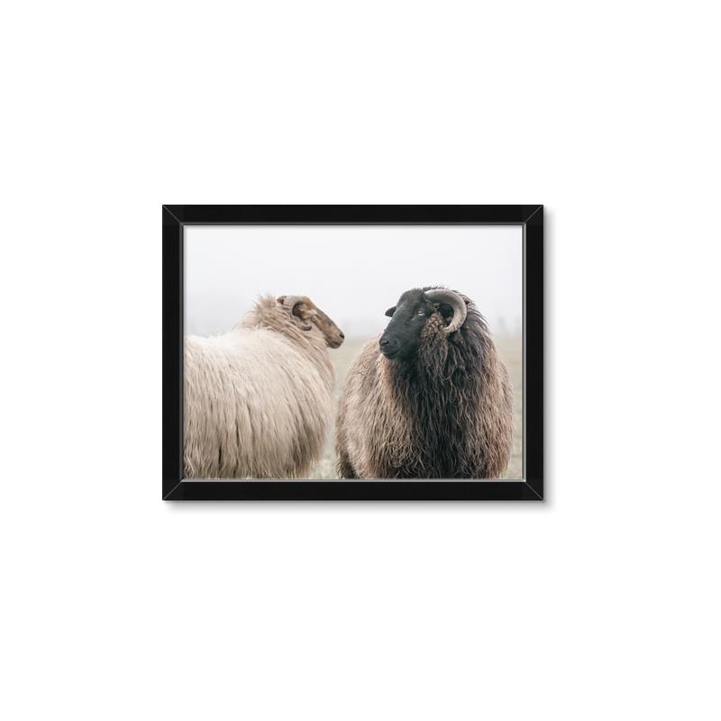 Picture of Good Talk _GroupedProduct_Rectangle_Landscape_Photography _GroupedProduct_Rectangle_Landscape_Framed_Matted_