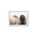 Picture of Good Talk _GroupedProduct_Rectangle_Landscape_Photography _GroupedProduct_Rectangle_Landscape_Framed_Matted_