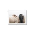 Picture of Good Talk _GroupedProduct_Rectangle_Landscape_Photography _GroupedProduct_Rectangle_Landscape_Framed_Matted_
