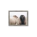 Picture of Good Talk _GroupedProduct_Rectangle_Landscape_Photography _GroupedProduct_Rectangle_Landscape_Framed_Matted_
