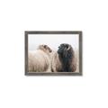 Picture of Good Talk _GroupedProduct_Rectangle_Landscape_Photography _GroupedProduct_Rectangle_Landscape_Framed_Matted_